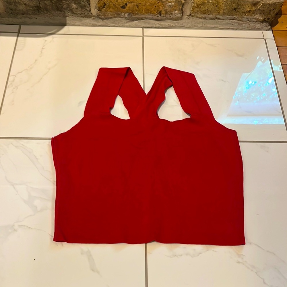 Red Knot Crop Top